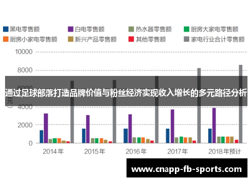 通过足球部落打造品牌价值与粉丝经济实现收入增长的多元路径分析