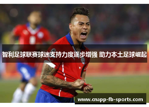 智利足球联赛球迷支持力度逐步增强 助力本土足球崛起
